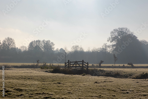 Fototapeta Naklejka Na Ścianę i Meble -  Countryside landscape in winter, Low flat land with white morning frost, Typical Dutch polder with wooden fence and small canal or ditch, Fog and mist covered on the green grass field, Netherlands.