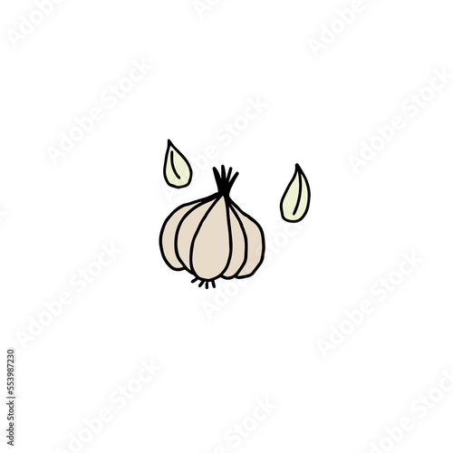 Garlic outline illustration  engraved bunch of garlic.