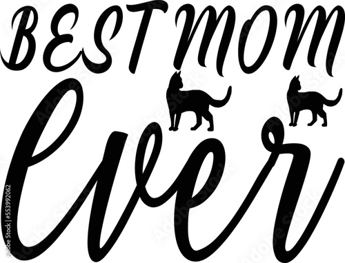 Funny Cat SVG Bundle, Cat SVG, Kitten SVG, Cat lady svg, crazy cat lady svg, cat lover svg, cats svg, kitty svg, 