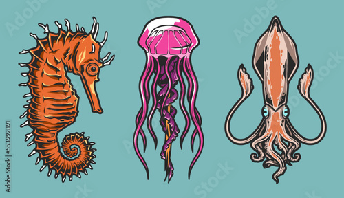 Ocean fauna set colorful labels