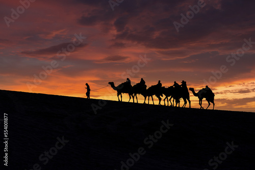 A group of tourist led by a local bedouin guide riding camels in the Sealine desert  Qatar.