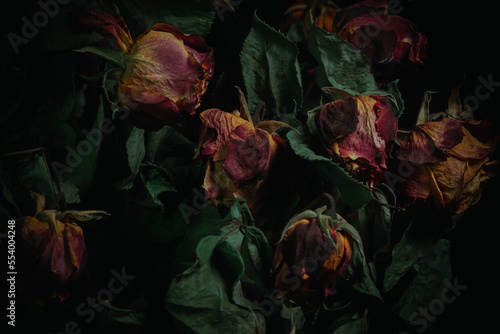 Macro close up multicolored orange dried rose bloom bouquet in ceramic retro vase Black background