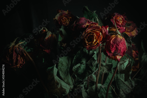 Macro close up multicolored orange dried rose bloom bouquet in ceramic retro vase Black background