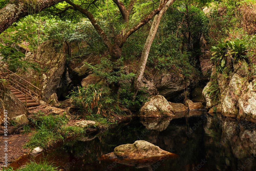 waterfall in the forest - chapada diamantina na bahia waterfall in the forest - chapada diamantina na bahia