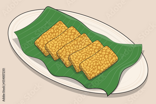 Soy tempeh illustration in vector design