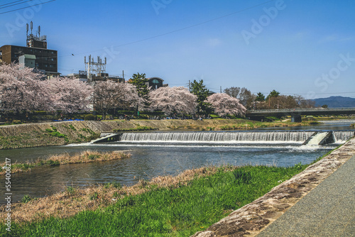 a Kamo River and Kyoto Center Kyoto, Japan 12 April 2012 photo