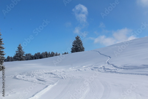 Fototapeta Naklejka Na Ścianę i Meble -  walking track in the snow