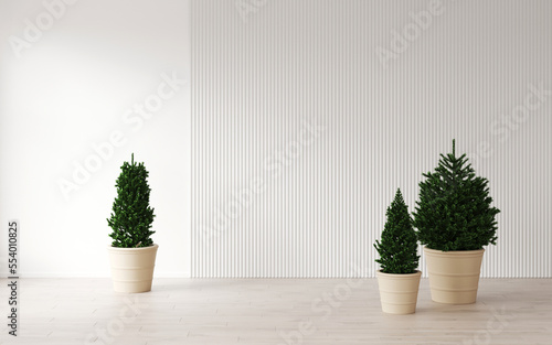 White empty room with Christmas trees in pots  spruce  background for a New Year card  white panel on the wall. White space  photozone. Interior background and 3d rendering