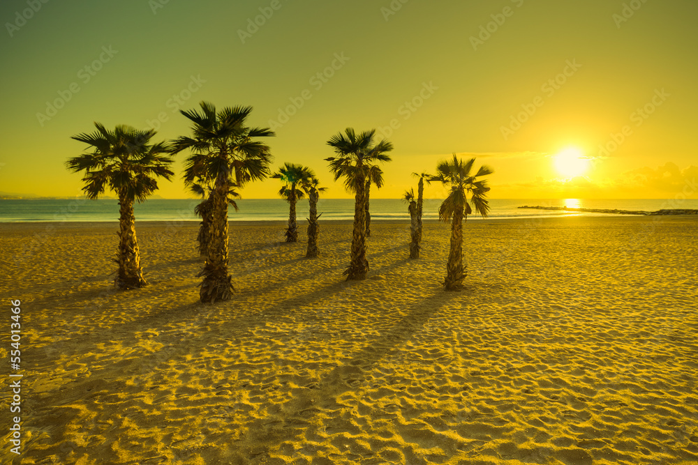 Plaża Palmy Wschód słońca Hiszpania - obrazy, fototapety, plakaty 