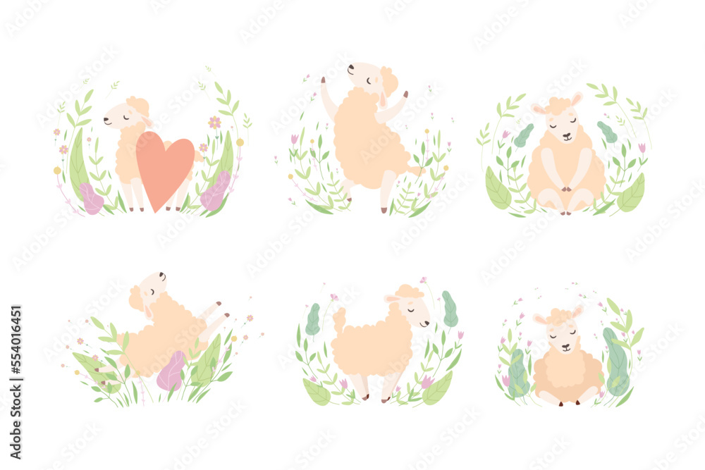 Cute Sheep Resting and Relaxing in Meadow Flowers Vector Set