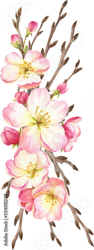 watercolor illustration with branches blooming apple tree