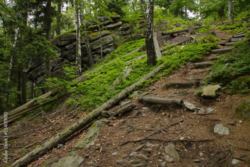Hiking track at Certovy Kameny (Devil's Stones) in High Ash Mountains,Jesenik District,Olomouc Region,Czech Republic,Europe
 photo