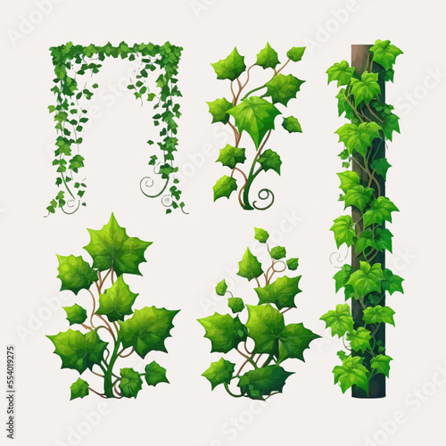 Vertical isolated ivy lianas, frames or borders. Isolated on a white background. vector illustration