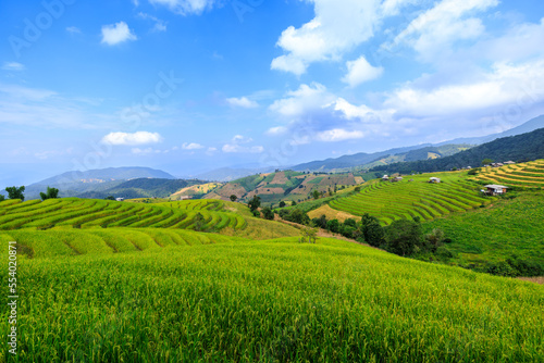 landscape view rice fields terrace at Pa Bong Pieng chiang mai north of thailand and blur sky background