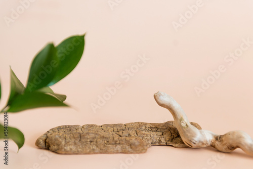 Empty podium natural material tree beige background. Product presentation with fresh plant decor.