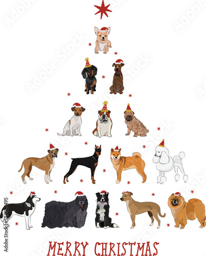Christmas greeting card with dogs, holiday design. Funny cartoon different dog breeds illustrations. Dog pets in Santa hats. New Year card. Boxer, Chow Chow, Shiba Inu, Poodle, Dachshund, Puli, Husky.