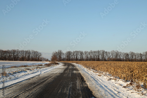 Countryside road in snowy winter