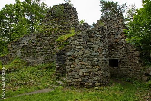 Castle ruin Rychleby in High Ash Mountains at Javorník,Javornik District,Czech Republic,Europe 