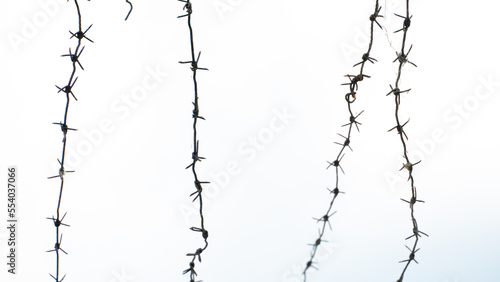 Barbed wire against the sky. A security fence on the territory of a prison or airport. Ways to protect your property.