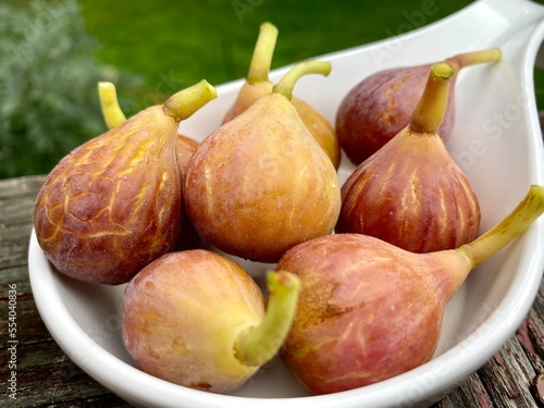 Freshly Picked Celeste Figs Laid Out on a Plate 