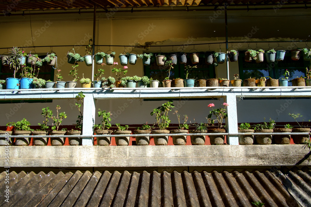 A neat arrangement of flower pots on a house balcony. A neat arrangement of flower pots on a house balcony.