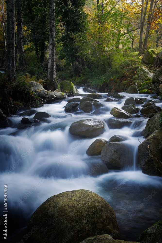 Between the boulders and the trees Between the boulders and the trees
