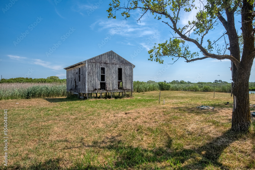 Obraz premium Dilapidated shack on a rural field with tree.