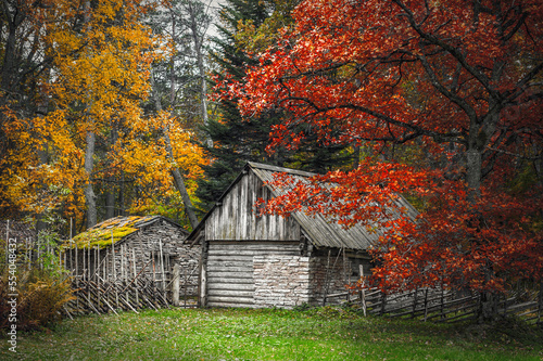 vintage, rustic house in the autumn mist. View of the patio of farm. The open air Museum in Tallinn. Historical landmark of Estonia. The old medieval architecture of Estonia.