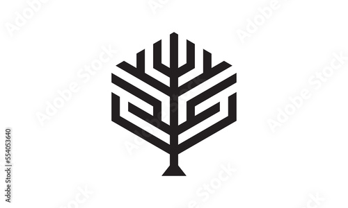 tree hexagon logo. creative nature icon vector design.