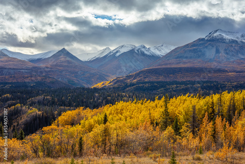 Mountain landscape in yellow autumn colors, Yukon territory Canada photo