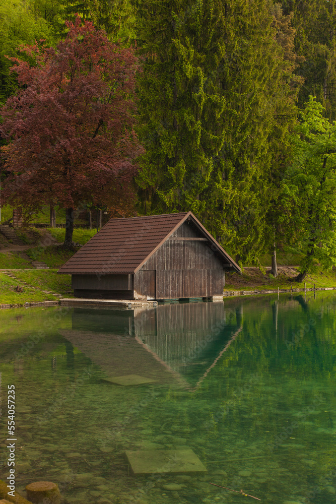 Foggy Morning in the Bled Lake Reflections, Bled Slovenia Foggy Morning in the Bled Lake Reflections, Bled Slovenia