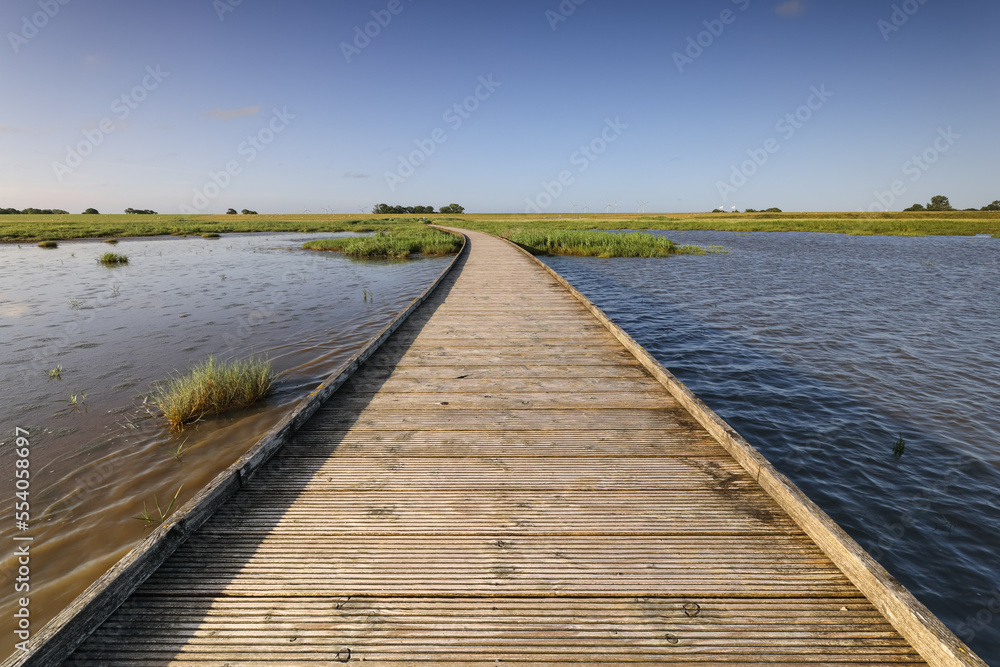 Fototapeta premium wooden path