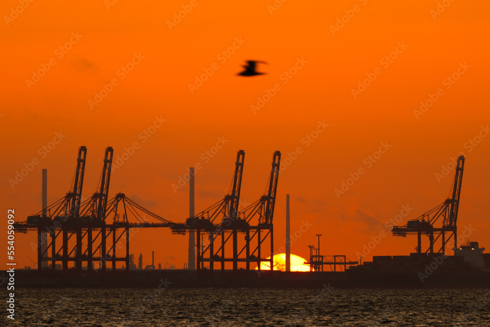 Sunset with container terminal