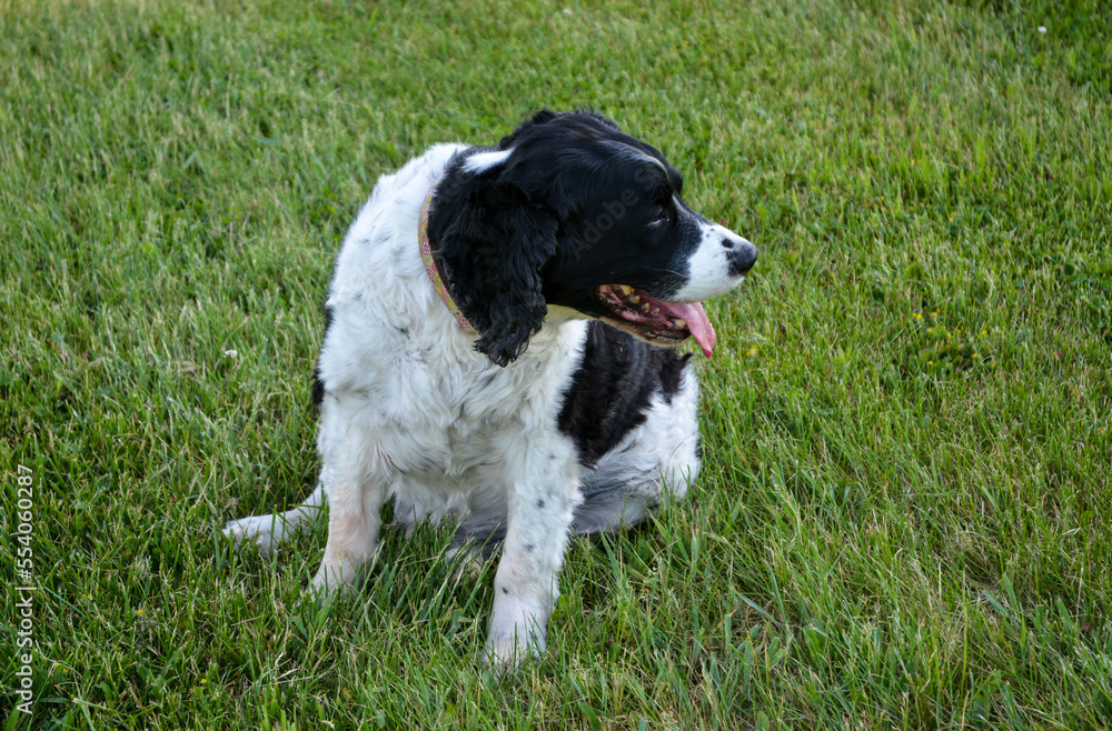 In Memoriam 2022, Jasper, ESS