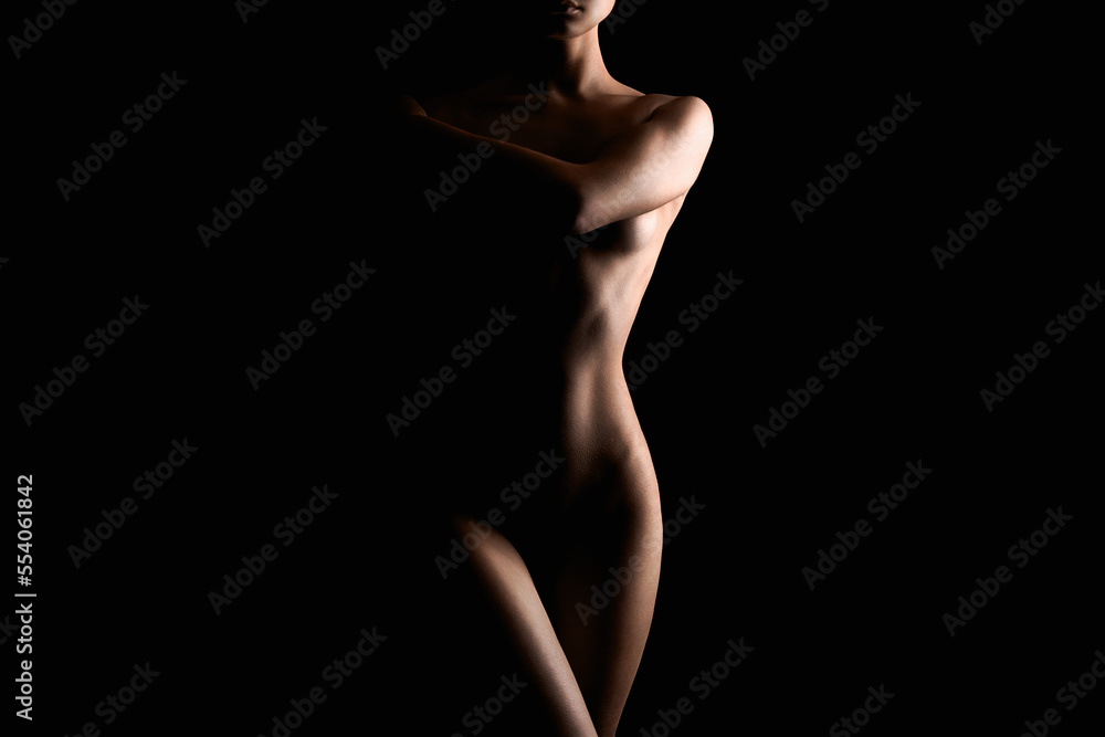 Nude Woman silhouette. Beautiful Naked Body Girl