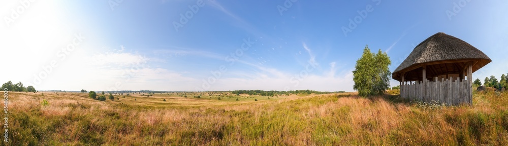 landscape with a field of grass