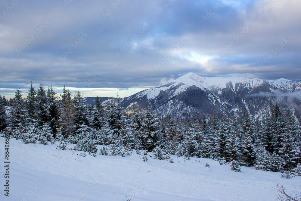 Winter landscape - Rax Mountain in the Austrian Alps