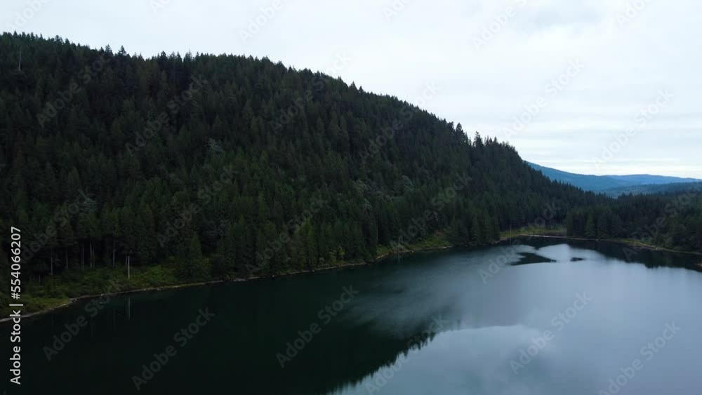 Drone shot of small ripples on a clear lake and green pine forest on the shore Drone shot of small ripples on a clear lake and green pine forest on the shore