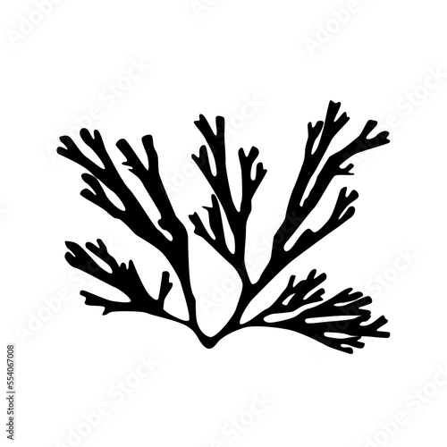 Sea fan coral, black silhouette, illustration over a transparent background, PNG image