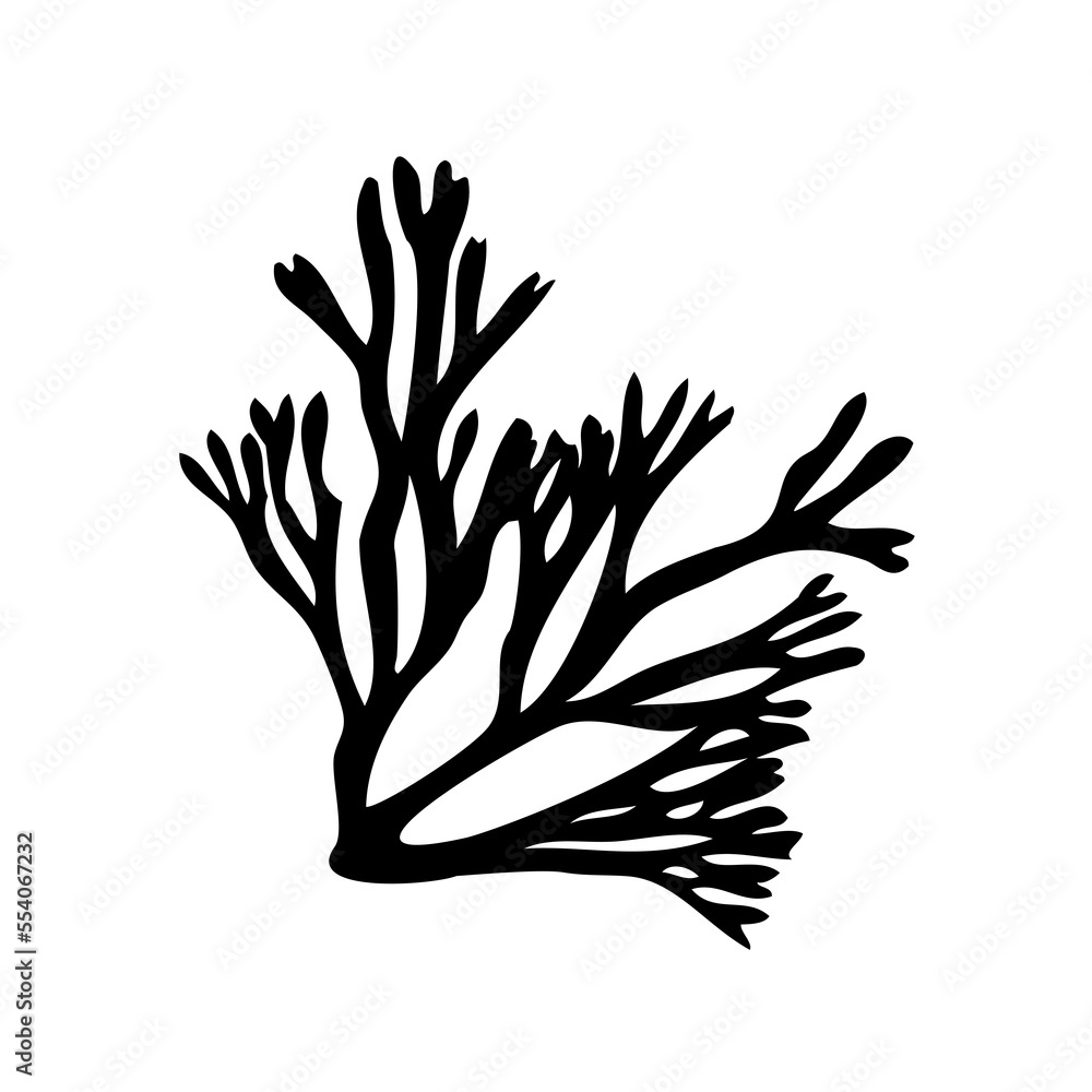 Sea fan coral, black silhouette, illustration over a transparent background, PNG image Sea fan coral, black silhouette, illustration over a transparent background, PNG image