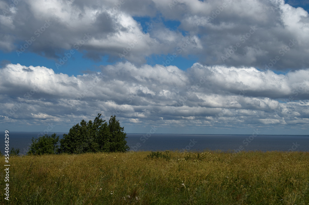 River landscape with cloudy sky in the background