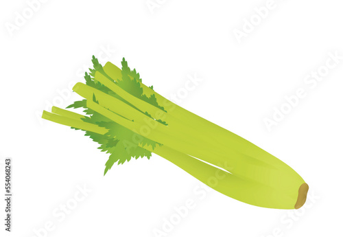 illustration of celery branch. Green vegetable with leaf and stem. 