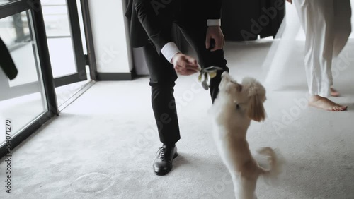 Wallpaper Mural a man and a woman play with their small white dog in a hotel room. Wedding morning of bride and groom. Cute dog maltipoo.  Torontodigital.ca