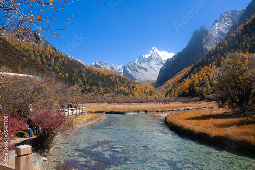 Chonggu meadow, Yading National Nature Reserve  photo