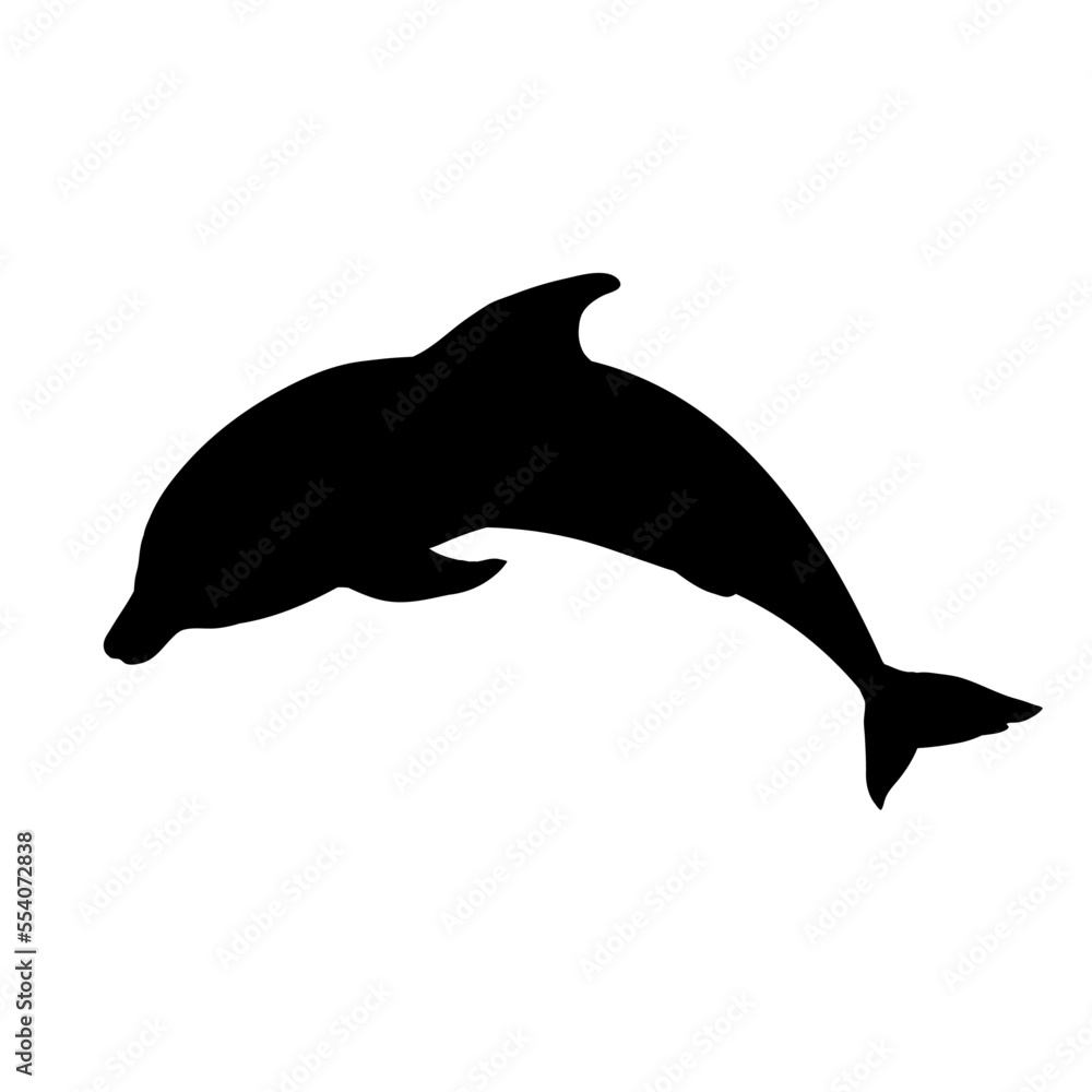 Fototapeta premium dolphin silhouette isolated on white