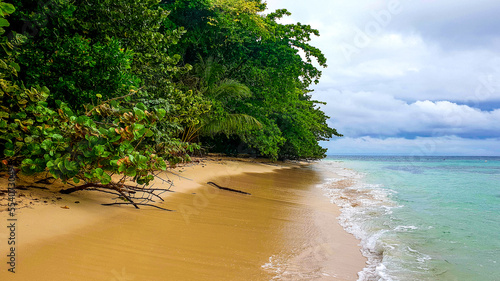 plaża w tropikach © Piotr