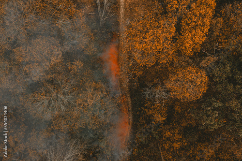 Dry leaves burn in the autumn forest. Forest fire hazard. Dry Grass sets Fire to Trees near dry Forest: Forest fires - Aerial drone shot. Wildfire: fire with smoke from the height of a bird flight. 