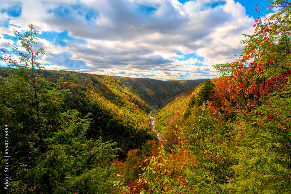 Blackwater gorge in the Fall