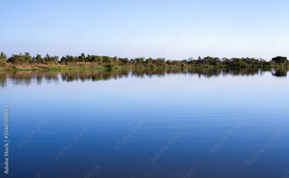 landscape lake with green plant and trees