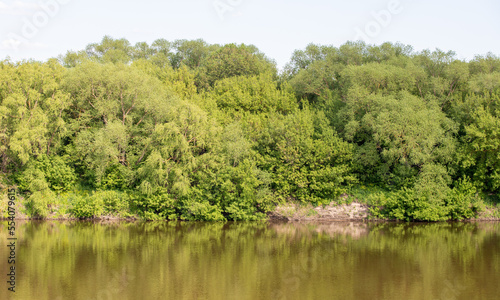 Plants flowers and trees, natural nature background.